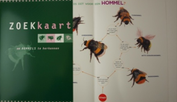thumbnail - Zoekkaart Hommels (Veldwerk Nederland)